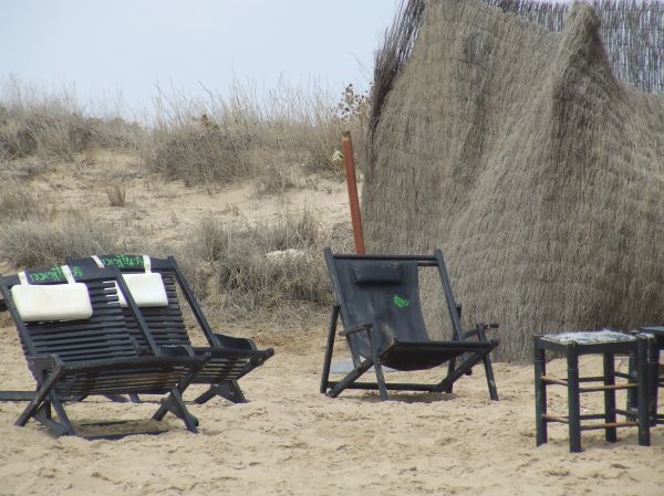 tumbonas en la playa
Palabras clave: tumbonas,playa
