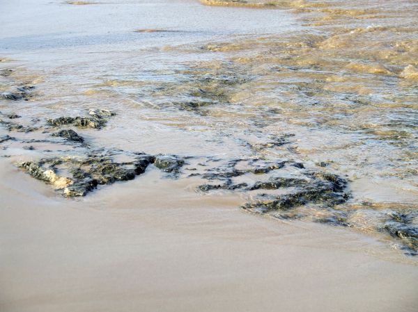 rocas
playa de La Mata (Alicante)
Palabras clave: playa,orilla,olas,mar,rocas