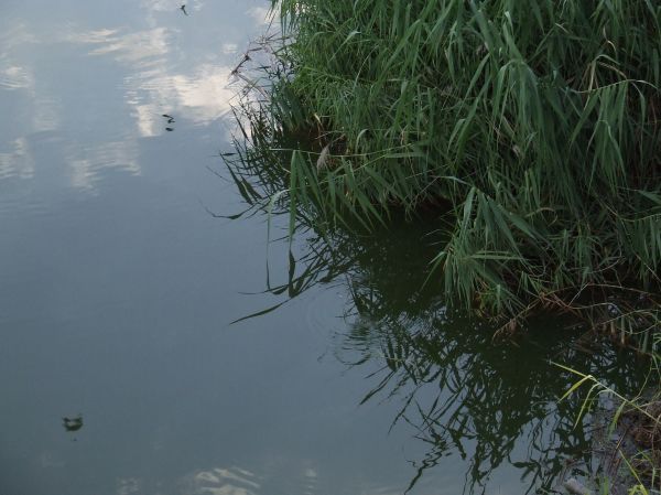 DSCF2080.JPG