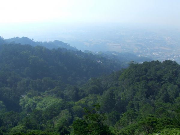 bruma
Parque Nacional de Sintra
Palabras clave: Portugal,paisaje