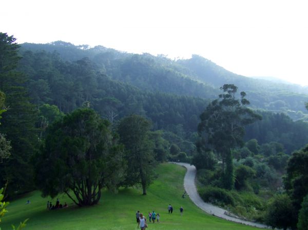 pradera
Jardines palacio de Monserrat, Sintra
Palabras clave: Portugal