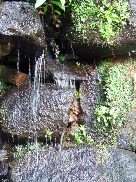 Cascada de Beckford
Jardines palacio de Monserrat, Sintra
Palabras clave: Portugal,paisaje,agua,rocas