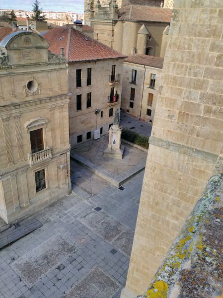 calles
Vista desde las terrazas de la catedral
Palabras clave: Castilla y León,Salamanca
