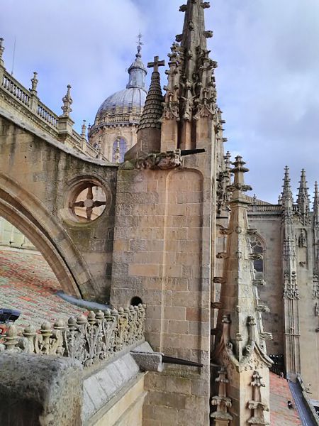 pináculo
Catedral Nueva
Palabras clave: Castilla y León,Salamanca