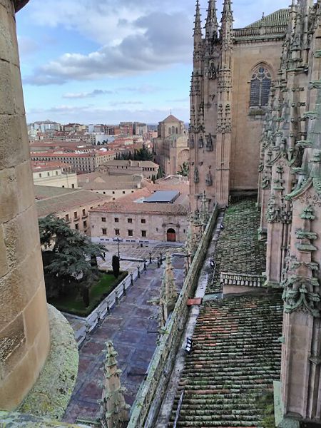 Catedral Nueva
Vista desde las terrazas
Palabras clave: Castilla y León,Salamanca