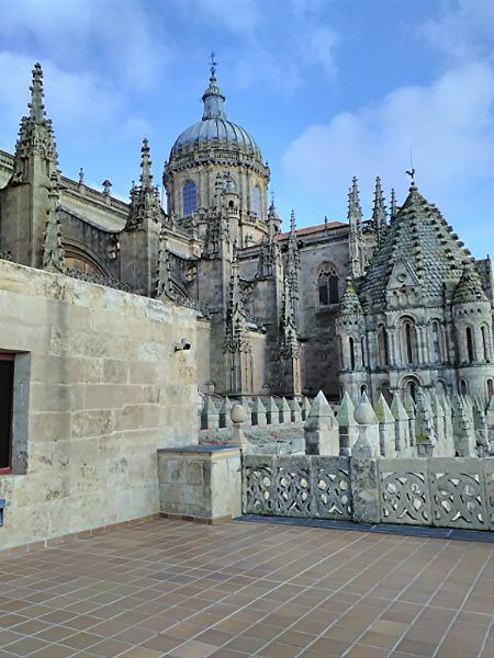 Catedral Nueva
Vista desde las terrazas
Palabras clave: Castilla y León,Salamanca,pináculo