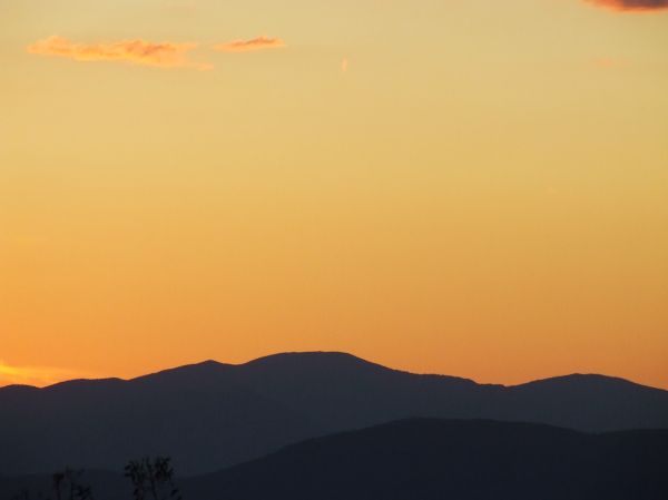 DSCF2382.JPG