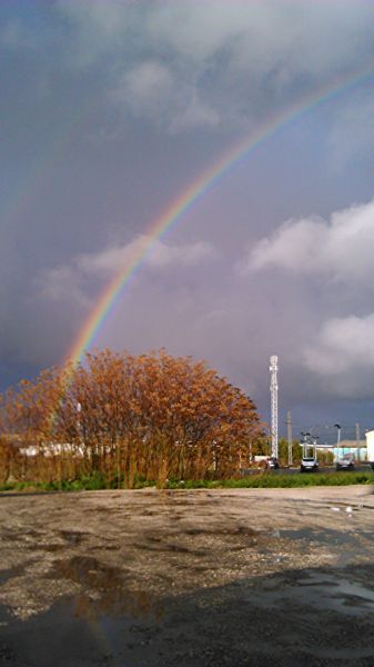 Arcoiris
Palabras clave: Natural,Paisaje