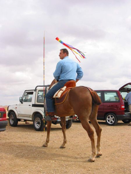 Palabras clave: hipica caballo jinete