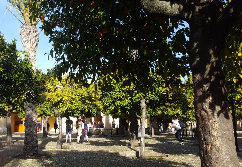 jardines patio
Mezquita-catedral
Palabras clave: Andalucía,Córdoba,Abderramán III