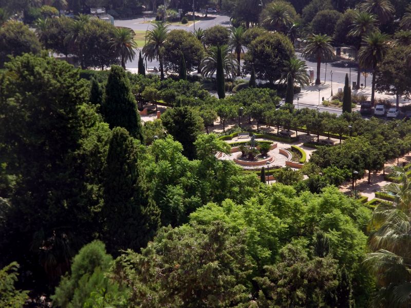 Jardín botánico
Palabras clave: Andalucía,plantas
