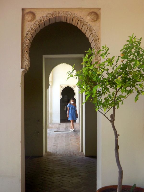 arcos
Palabras clave: Andalucía,castillo,histórico,alcazaba